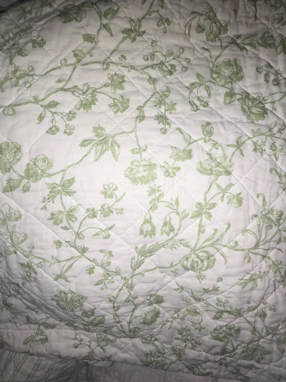Like new Laura Ashley 3pc King Floral botanical Reversible 100% Cotton Quilt Set
